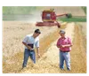 We want to help you make the best business decisions for your farm